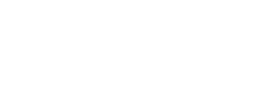 APL – Alta Performance para Líderes